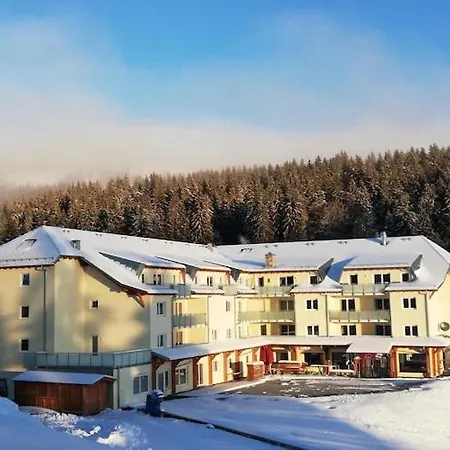Apartment Grafenmatt, Feldberg